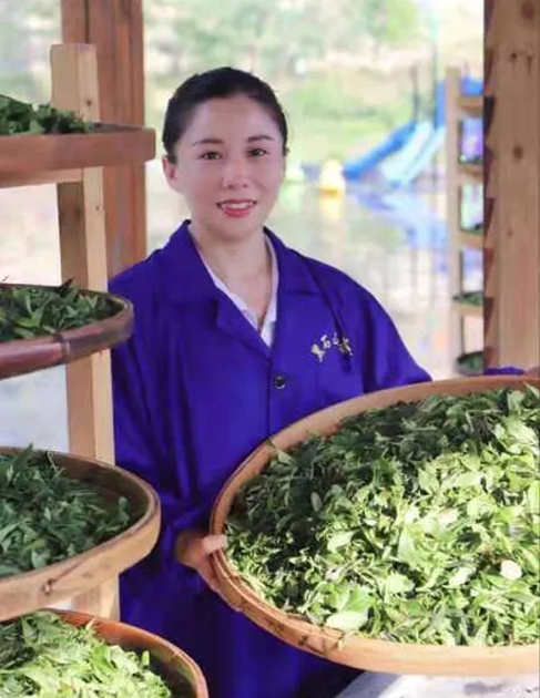 【梧州工匠】石濡菲：擇一茶，修一技，終一生