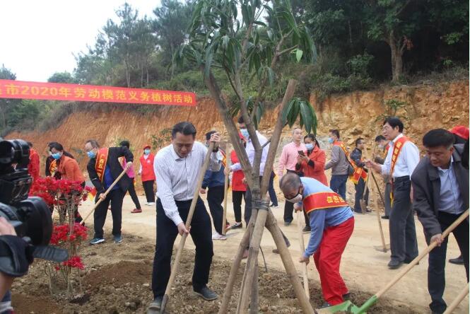 植樹造林，這群楷模這樣做