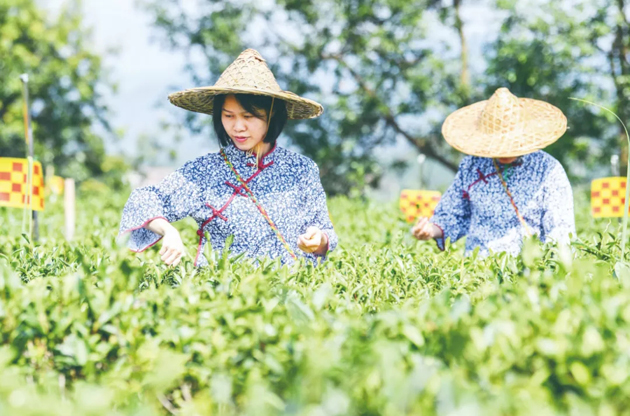 國家批復(fù)同意，梧州籌建！
