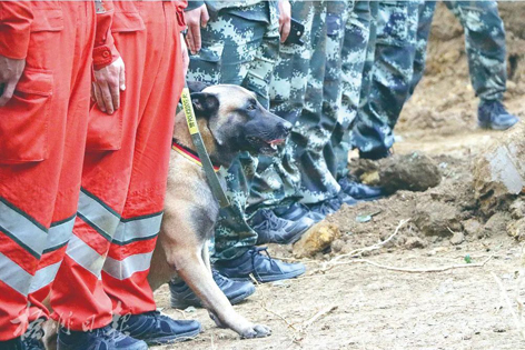 消防、武警、摩托車運輸隊等多方力量聯(lián)合搜救｜東航客機墜毀事故救援現(xiàn)場直擊