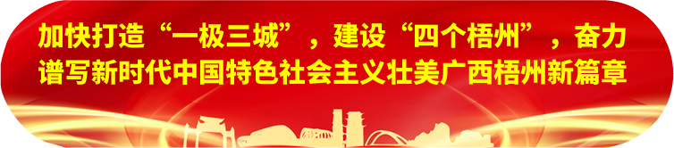 劉寧在梧州蒼梧縣蒙山縣岑溪市調研時強調：完整準確全面貫徹新發(fā)展理念，發(fā)揮優(yōu)勢突出特色推動縣域經(jīng)濟高質量發(fā)展