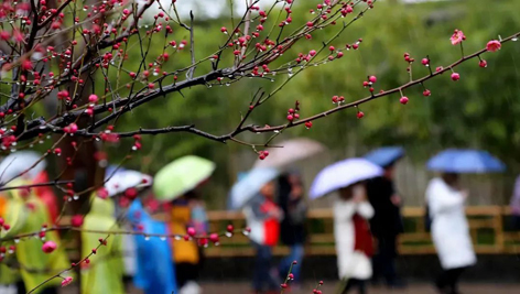 今日雨水！別忘了咱的老講究！