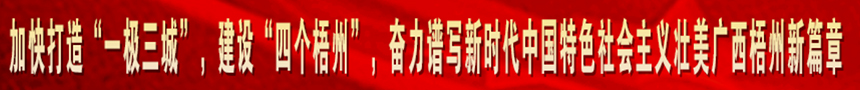 加快打造“一級(jí)三城市”，建設(shè)“四個(gè)梧州”，奮力譜寫(xiě)新時(shí)代中國(guó)特色社會(huì)主義壯美廣西梧州新篇章